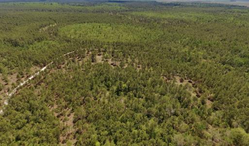 Photo #27 of SOLD property in Off Hwy 210, Garland, NC 656.0 acres