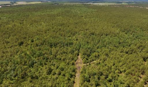Photo #28 of SOLD property in Off Hwy 210, Garland, NC 656.0 acres