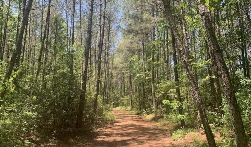 Photo #29 of SOLD property in Off Hwy 210, Garland, NC 656.0 acres