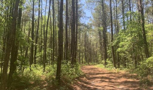 Photo #30 of SOLD property in Off Hwy 210, Garland, NC 656.0 acres