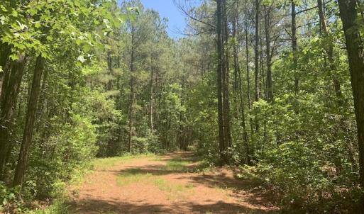 Photo #34 of SOLD property in Off Hwy 210, Garland, NC 656.0 acres