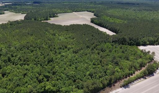 Photo #7 of SOLD property in Off Hwy 210, Garland, NC 656.0 acres