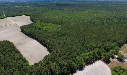 Photo #8 of SOLD property in Off Hwy 210, Garland, NC 656.0 acres