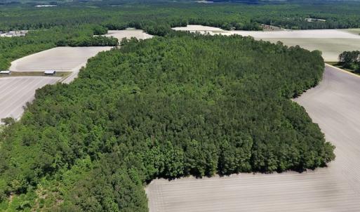 Photo #9 of SOLD property in Off Hwy 210, Garland, NC 656.0 acres
