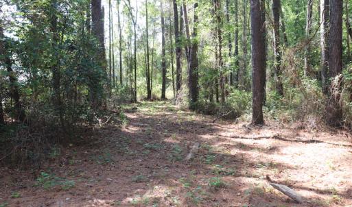 Photo #35 of SOLD property in Off Hwy 210, Garland, NC 656.0 acres