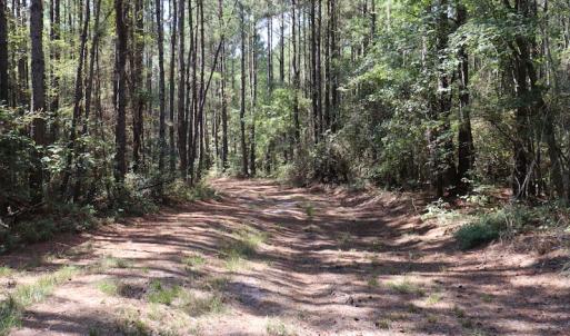 Photo #37 of SOLD property in Off Hwy 210, Garland, NC 656.0 acres