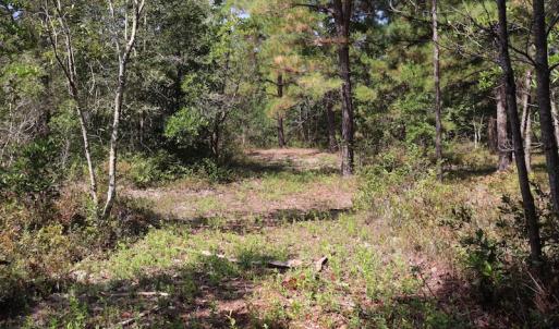 Photo #40 of SOLD property in Off Hwy 210, Garland, NC 656.0 acres