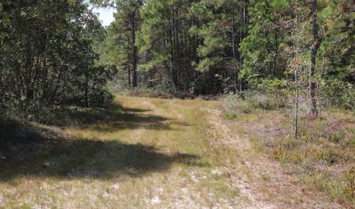 Photo #41 of SOLD property in Off Hwy 210, Garland, NC 656.0 acres