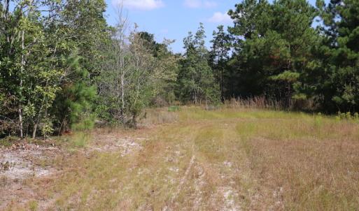 Photo #42 of SOLD property in Off Hwy 210, Garland, NC 656.0 acres