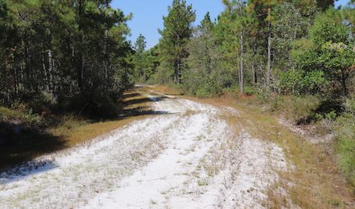 Photo #43 of SOLD property in Off Hwy 210, Garland, NC 656.0 acres