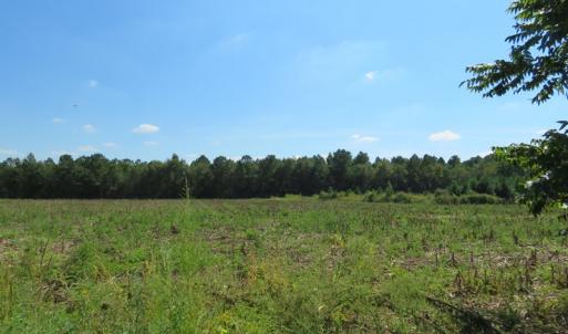 Photo #6 of SOLD property in Off Dawns Drive, Rowland, NC 17.9 acres
