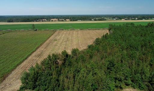 Photo #7 of SOLD property in Off Dawns Drive, Rowland, NC 17.9 acres