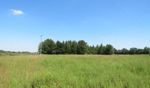 Photo #8 of SOLD property in Off Dawns Drive, Rowland, NC 17.9 acres
