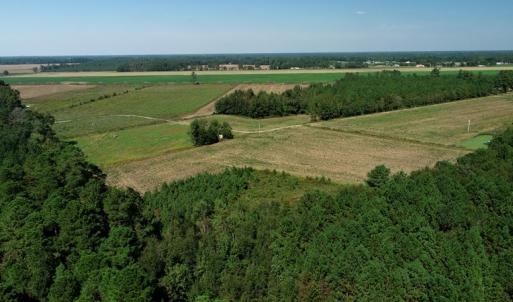 Photo #9 of SOLD property in Off Dawns Drive, Rowland, NC 17.9 acres