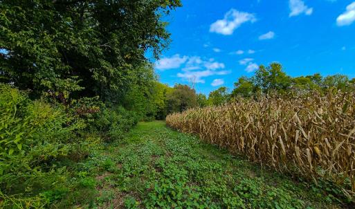 Photo #2 of SOLD property in Off Coles Ferry Road, Nathalie, VA 31.5 acres