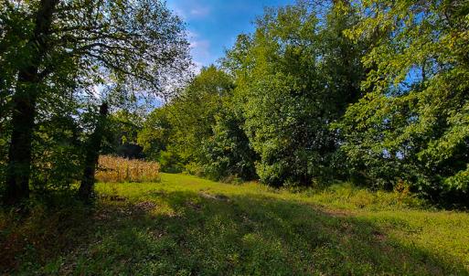 Photo #9 of SOLD property in Off Coles Ferry Road, Nathalie, VA 31.5 acres