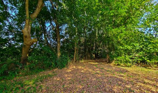 Photo #11 of SOLD property in Off Coles Ferry Road, Nathalie, VA 31.5 acres