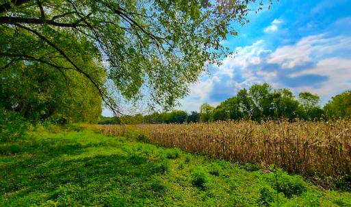 Photo #12 of SOLD property in Off Coles Ferry Road, Nathalie, VA 31.5 acres