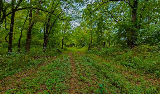 Photo #13 of SOLD property in Off Coles Ferry Road, Nathalie, VA 31.5 acres
