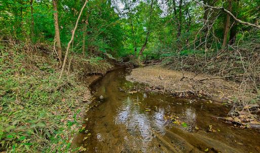 Photo #15 of SOLD property in Off Coles Ferry Road, Nathalie, VA 31.5 acres