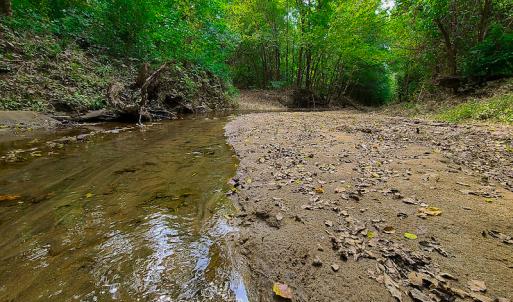 Photo #16 of SOLD property in Off Coles Ferry Road, Nathalie, VA 31.5 acres