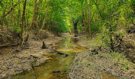 Photo #17 of SOLD property in Off Coles Ferry Road, Nathalie, VA 31.5 acres