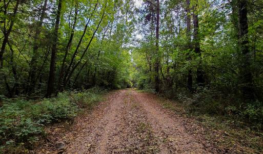 Photo #18 of SOLD property in Off Coles Ferry Road, Nathalie, VA 31.5 acres