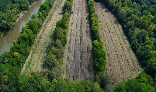 Photo #19 of SOLD property in Off Coles Ferry Road, Nathalie, VA 31.5 acres