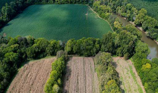 Photo #21 of SOLD property in Off Coles Ferry Road, Nathalie, VA 31.5 acres