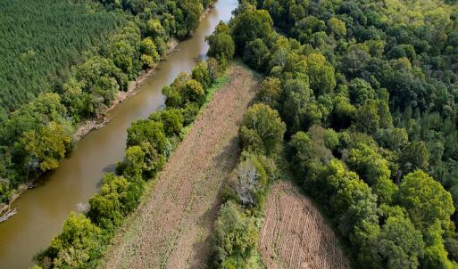 Photo #22 of SOLD property in Off Coles Ferry Road, Nathalie, VA 31.5 acres