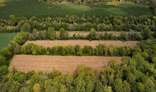 Photo #24 of SOLD property in Off Coles Ferry Road, Nathalie, VA 31.5 acres