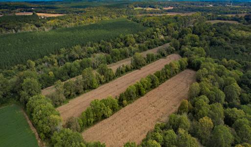 Photo #25 of SOLD property in Off Coles Ferry Road, Nathalie, VA 31.5 acres