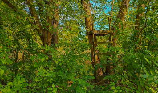 Photo #5 of SOLD property in Off Coles Ferry Road, Nathalie, VA 31.5 acres