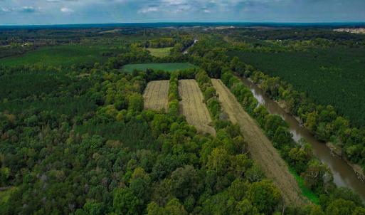 Photo #30 of SOLD property in Off Coles Ferry Road, Nathalie, VA 31.5 acres