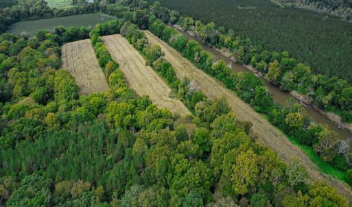 Photo #31 of SOLD property in Off Coles Ferry Road, Nathalie, VA 31.5 acres