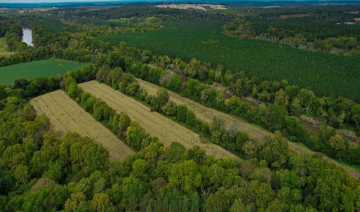 Photo #32 of SOLD property in Off Coles Ferry Road, Nathalie, VA 31.5 acres