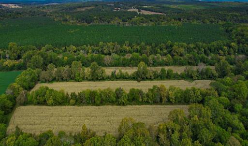 Photo #33 of SOLD property in Off Coles Ferry Road, Nathalie, VA 31.5 acres