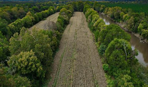 Photo #34 of SOLD property in Off Coles Ferry Road, Nathalie, VA 31.5 acres