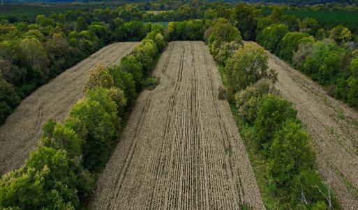 Photo #35 of SOLD property in Off Coles Ferry Road, Nathalie, VA 31.5 acres