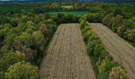 Photo #36 of SOLD property in Off Coles Ferry Road, Nathalie, VA 31.5 acres