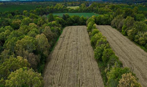 Photo #36 of SOLD property in Off Coles Ferry Road, Nathalie, VA 31.5 acres