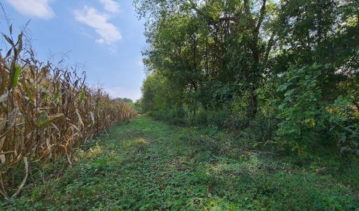 Photo #8 of SOLD property in Off Coles Ferry Road, Nathalie, VA 31.5 acres