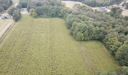 Photo #2 of SOLD property in Off Hwy 343 North, Camden, NC 13.6 acres