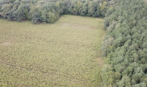 Photo #7 of SOLD property in Off Hwy 343 North, Camden, NC 13.6 acres