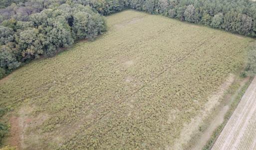 Photo #6 of SOLD property in Off Hwy 343 North, Camden, NC 13.6 acres