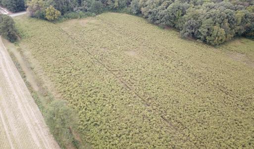 Photo #8 of SOLD property in Off Hwy 343 North, Camden, NC 13.6 acres