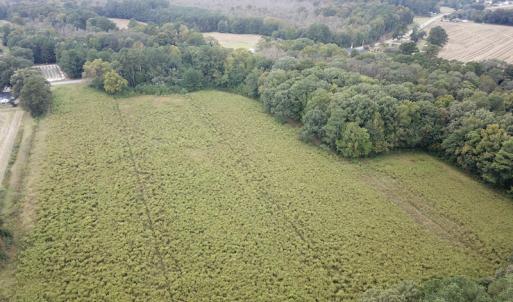 Photo #5 of SOLD property in Off Hwy 343 North, Camden, NC 13.6 acres