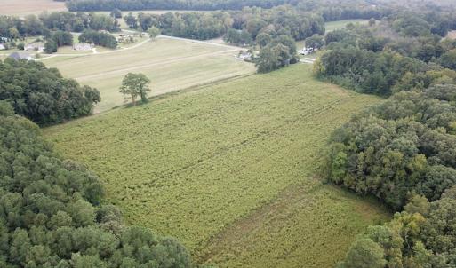 Photo #9 of SOLD property in Off Hwy 343 North, Camden, NC 13.6 acres