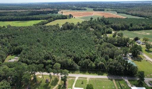 Photo #11 of SOLD property in Off Williams Loop Road, Roper, NC 9.1 acres