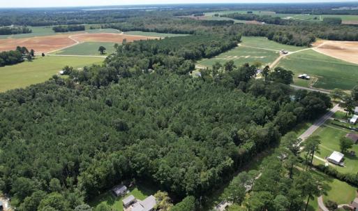 Photo #13 of SOLD property in Off Williams Loop Road, Roper, NC 9.1 acres